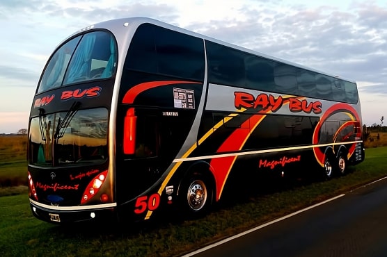 Ray Bus