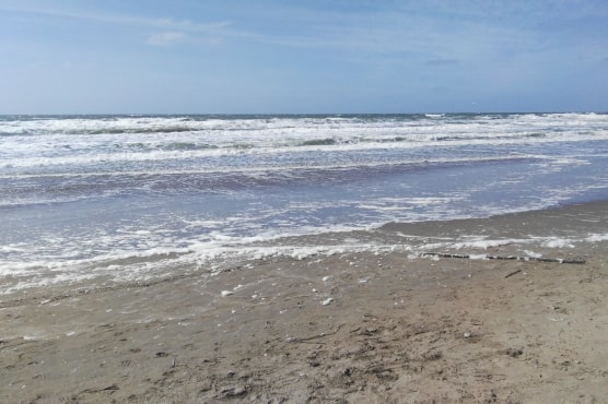 Pasajes en micro a Las Toninas