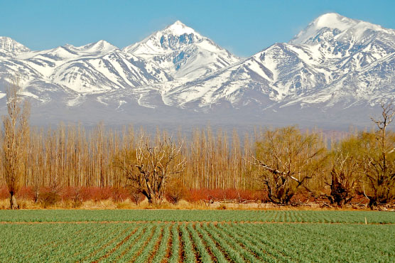 Pasajes en micro a Mendoza