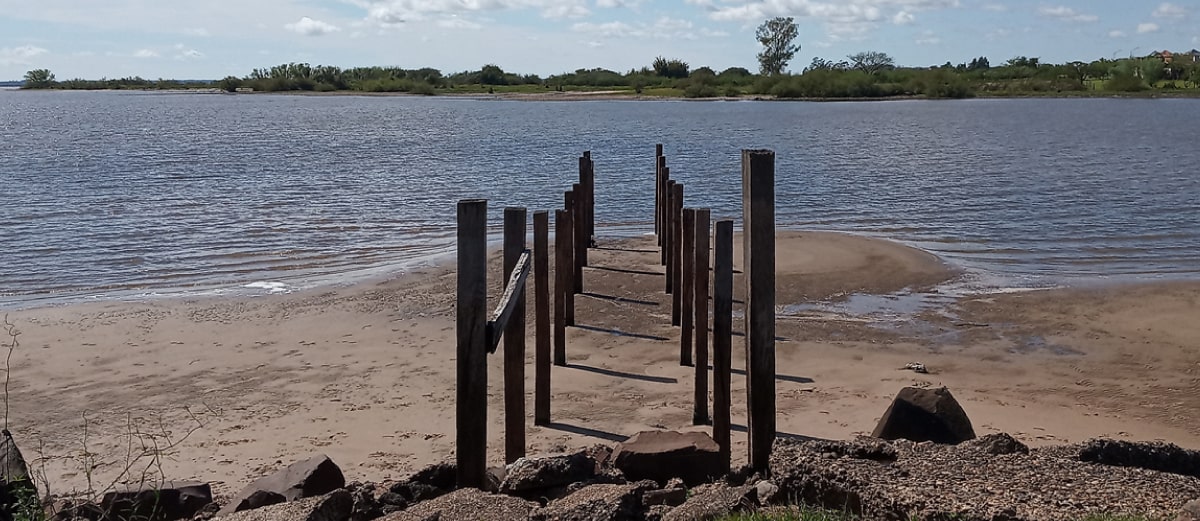 Terminal de Federación